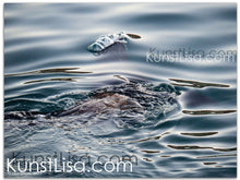 Lade das Bild in den Galerie-Viewer, Tierfotografie "Seelöwe unter Wasser" - Südafrika