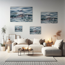 Lade das Bild in den Galerie-Viewer, Tierfotografie "Seelöwe unter Wasser" - Südafrika