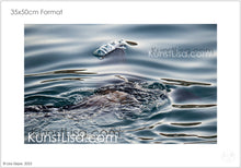 Lade das Bild in den Galerie-Viewer, Seelöwe-unter-der-Wasseroberfläche-Luftblasen-auf-dem-Wasser-im-Hafen-von-Kapstadt-in-Südafrika-Format-35x50cm