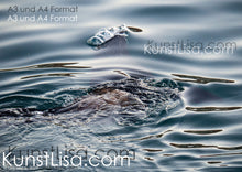 Lade das Bild in den Galerie-Viewer, Seelöwe-unter-der-Wasseroberfläche-Luftblasen-auf-dem-Wasser-im-Hafen-von-Kapstadt-in-Südafrika-Format-A3-und-A4