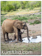Lade das Bild in den Galerie-Viewer, Tierfotografie "Baby Elefant mit Mutter" - Südafrika