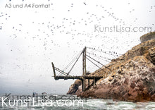 Lade das Bild in den Galerie-Viewer, Ausblick-auf-alte-zerfallene-Brücke-auf-Felsen-Insel-am-Meer-und-tausende-fliegende-Vögel-im-Hintergrund-mystische-Landschaft-grauer-Himmel-in-Peru-Format-A3-und-A4