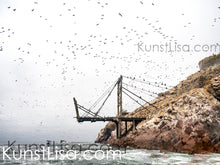 Lade das Bild in den Galerie-Viewer, Ausblick-auf-alte-zerfallene-Brücke-auf-Felsen-Insel-am-Meer-und-tausende-fliegende-Vögel-im-Hintergrund-mystische-Landschaft-grauer-Himmel-in-Peru