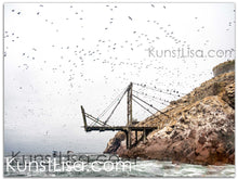 Lade das Bild in den Galerie-Viewer, Landschaftsfotografie "Marode Brücke & tausende Vögel" - Peru