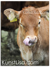 Lade das Bild in den Galerie-Viewer, Tierfotografie "Portrait eines Kälbchen auf dem Bauernhof" - Deutschland