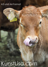 Lade das Bild in den Galerie-Viewer, Frontansicht-eines-kleinen-braunen-Kälbchens-auf-dem-Bauernhof-in-Deutschland-Format-A3-und-A4