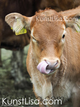 Lade das Bild in den Galerie-Viewer, Frontansicht-eines-kleinen-braunen-Kälbchens-auf-dem-Bauernhof-in-Deutschland
