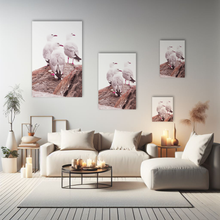 Lade das Bild in den Galerie-Viewer, Tierfotografie "Drei Möwen auf Felsen" - Neuseeland