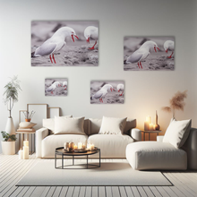 Lade das Bild in den Galerie-Viewer, Tierfotografie "Kreischende Möwen" - Neuseeland