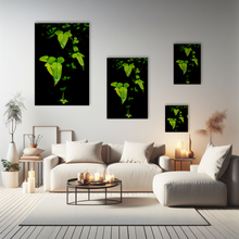 Lade das Bild in den Galerie-Viewer, Naturfotografie "Leuchtende Blätter in Dunkelheit" - Neuseeland