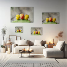 Lade das Bild in den Galerie-Viewer, Naturfotografie "Kaktusfeigen" - Peru