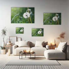 Lade das Bild in den Galerie-Viewer, Naturfotografie "Löwenzahnblüte/Pusteblume" - Deutschland