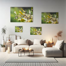 Lade das Bild in den Galerie-Viewer, Naturfotografie "Mangrovenbaum, graue Mangrove" - Neuseeland