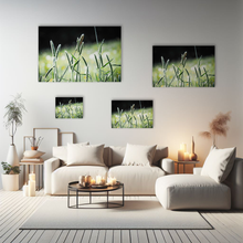 Lade das Bild in den Galerie-Viewer, Naturfotografie "Gras im Morgentau" - Deutschland