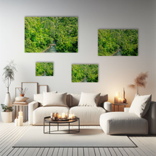 Lade das Bild in den Galerie-Viewer, Landschaftsfotografie "Vogelperspektive vom Regenwald" - Neuseeland