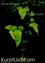 Lade das Bild in den Galerie-Viewer, Frontansicht-leuchtend-grüner-Blätter/Efeu-vor-schwarzem-Hintergrund-Makro/Nahaufnahme-von-Natur-in-Neuseeland-Format-A3-und-A4