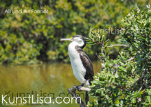 Lade das Bild in den Galerie-Viewer, Seitenansicht-Komoran-Elsterscharbe-im-Mangrovenwald-sitzt-auf-Mangrovenbaum-mit-grünen-Blättern-in-Neuseeland-Format-A3-und-A4