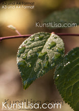 Lade das Bild in den Galerie-Viewer, Front-Ansicht-grünes-Blatt-mit-Wassertropfen-benetzt-an-Zweig-vom-Baum-hängend-in-warmem-Licht-Makro-Nahaufnahme-Herbst-in-Deutschland-Format-A3-und-A4