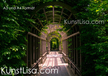 Lade das Bild in den Galerie-Viewer, Begrünter-Weg-in-Pergola-Tunnel-zu-einem-Tor-in-Neuseeland-Format-A3-und-A4