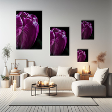 Lade das Bild in den Galerie-Viewer, Naturfotografie "Tulpe in Dunkelheit" - Deutschland