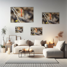 Lade das Bild in den Galerie-Viewer, Tierfotografie "Feuerlibelle" - Peru