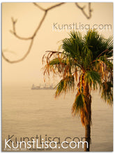 Lade das Bild in den Galerie-Viewer, Landschaftsfotografie "Palme und Schiff" - Südafrika