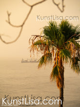 Lade das Bild in den Galerie-Viewer, Ausblick-auf-grüne-Palme-und-das-Meer-mit-Containerschiff-während-des-Sonnenuntergangs-in-Südafrika