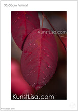 Lade das Bild in den Galerie-Viewer, Front-Ansicht-rotes-Blatt-mit-Wassertropfen-benetzt-an-Zweig-vom-Baum-hängend-Makro-Nahaufnahme-Herbst-in-Deutschland-Format-35x50cm