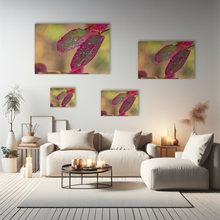 Lade das Bild in den Galerie-Viewer, Naturfotografie "Buntes Blatt im Herbst" - Deutschland