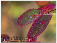 Lade das Bild in den Galerie-Viewer, Naturfotografie "Buntes Blatt im Herbst" - Deutschland