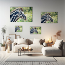 Lade das Bild in den Galerie-Viewer, Tierfotografie "Zebra in freier Wildbahn" - Südafrika