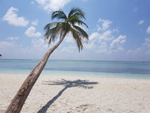 Lade das Bild in den Galerie-Viewer, Reale Malerei auf Leinwand "Palm Beach Maledives" - 70x50x1,5cm
