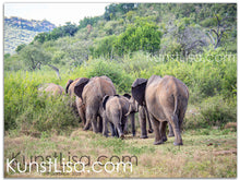 Lade das Bild in den Galerie-Viewer, Tierfotografie &quot;Elefantenherde in freier Wildbahn&quot; - Südafrika
