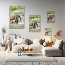 Lade das Bild in den Galerie-Viewer, Tierfotografie &quot;Baby Elefant mit Mutter&quot; - Südafrika
