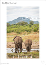 Lade das Bild in den Galerie-Viewer, Ansicht-von-Hinten-Zwei-Elefanten-am-Wasserloch-in-freier-Wildbahn-grüne-Berge-im-Hintergrund-in-Südafrika-Format-35x50cm
