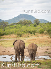 Lade das Bild in den Galerie-Viewer, Ansicht-von-Hinten-Zwei-Elefanten-am-Wasserloch-in-freier-Wildbahn-grüne-Berge-im-Hintergrund-in-Südafrika
