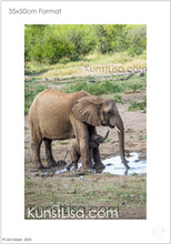 Lade das Bild in den Galerie-Viewer, Seitliche-Aufnahme-von-Elefanten-Baby-mit-Mutter-am-Wasserloch-in-Wildnis-in-Südafrika-Format-35x50cm
