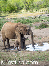 Lade das Bild in den Galerie-Viewer, Seitliche-Aufnahme-von-Elefanten-Baby-mit-Mutter-am-Wasserloch-in-Wildnis-in-Südafrika

