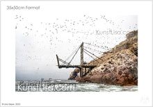Lade das Bild in den Galerie-Viewer, Ausblick-auf-alte-zerfallene-Brücke-auf-Felsen-Insel-am-Meer-und-tausende-fliegende-Vögel-im-Hintergrund-mystische-Landschaft-grauer-Himmel-in-Peru-Format-35x50cm
