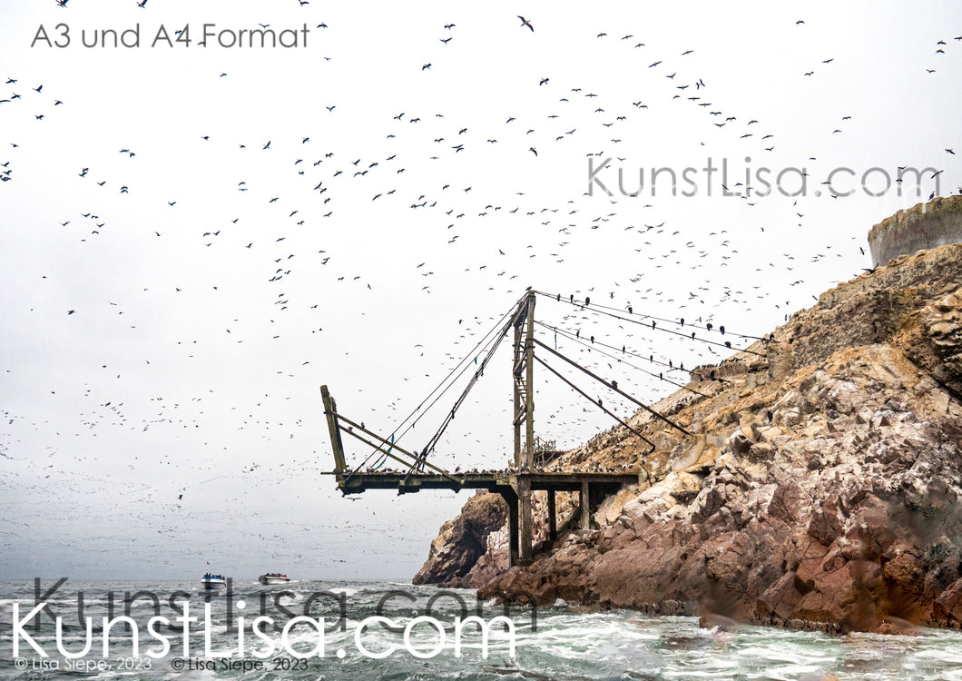 Ausblick-auf-alte-zerfallene-Brücke-auf-Felsen-Insel-am-Meer-und-tausende-fliegende-Vögel-im-Hintergrund-mystische-Landschaft-grauer-Himmel-in-Peru-Format-A3-und-A4