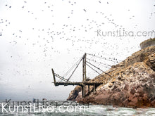 Lade das Bild in den Galerie-Viewer, Ausblick-auf-alte-zerfallene-Brücke-auf-Felsen-Insel-am-Meer-und-tausende-fliegende-Vögel-im-Hintergrund-mystische-Landschaft-grauer-Himmel-in-Peru
