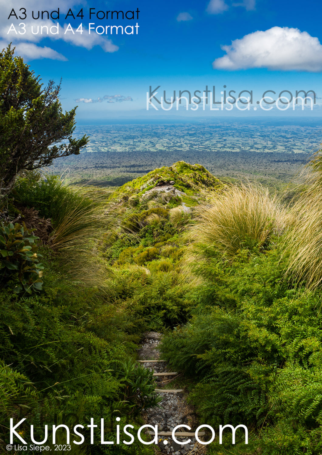 Ausblick-vom-Vulcan-Berg-Mount-Teranaki-in-die-grüne-Landschaft-auf-Urwald-Felder-und-das-Meer-im-Egmont-Nationalpark-in-Neuseeland-Format-A3-und-A4