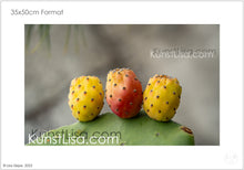Lade das Bild in den Galerie-Viewer, Makro/Nahaufnahme-drei-orange-rot-gelbe-Kaktusfeigen-Früchte-an-grünem-Kaktus-mit-Stacheln-vor-hellem-Hintergrund-Natur-in-Peru-Format-35x50cm
