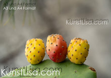 Lade das Bild in den Galerie-Viewer, Makro/Nahaufnahme-drei-orange-rot-gelbe-Kaktusfeigen-Früchte-an-grünem-Kaktus-mit-Stacheln-vor-hellem-Hintergrund-Natur-in-Peru-Format-A3-und-A4
