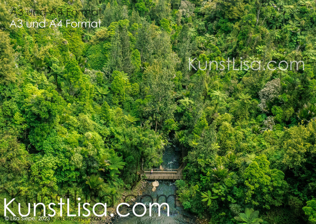Vogelperspektive-auf-saftig-grünen-Regenwald-Urwald-mit-Brücke-über-Fluss-Landschaft-in-Neuseeland-Format-A3-und-A4
