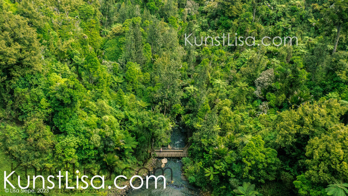 Vogelperspektive-auf-saftig-grünen-Regenwald-Urwald-mit-Brücke-über-Fluss-Landschaft-in-Neuseeland