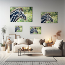 Lade das Bild in den Galerie-Viewer, Tierfotografie &quot;Zebra in freier Wildbahn&quot; - Südafrika
