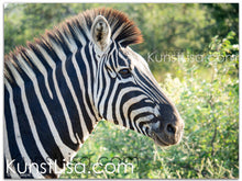 Lade das Bild in den Galerie-Viewer, Tierfotografie &quot;Zebra in freier Wildbahn&quot; - Südafrika
