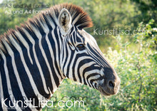 Lade das Bild in den Galerie-Viewer, Seitliche-Ansicht-von-einem-Zebrakopf-vor-grünem-Hintergrund-mit-Büschen-und-Bäumen-in-der-Wildnis-Südafrikas-Format-A3-und-A4
